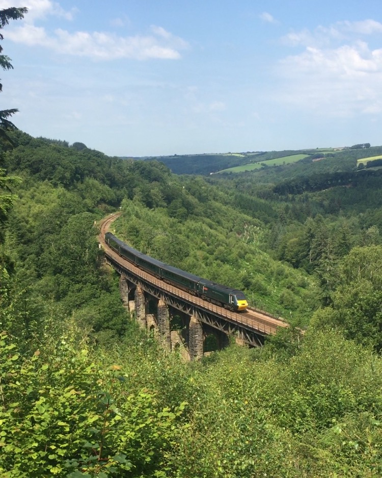 Martin Lewis on Train Siding: Making a den with my niece and nephew, with a cracking view of Largin viaduct earlier today #GWR #castles