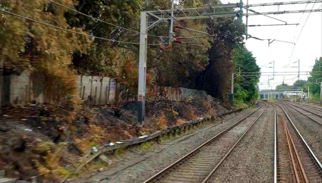 Kris Nelson on Train Siding: After the fire. The scene of the fire that shut the south end of the west coast mainline on the hottest day in UK history. 19 July
22....