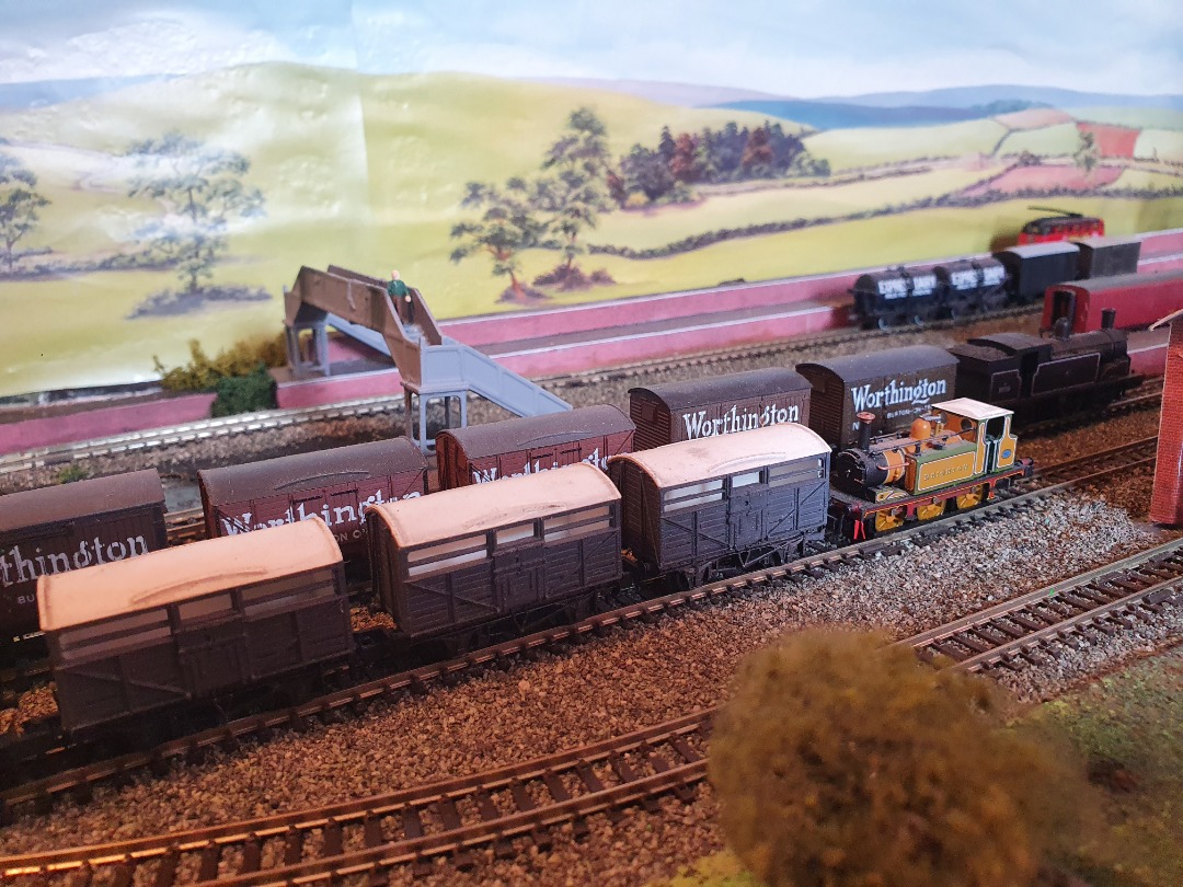 Locomotive Lloyd on Train Siding: A busy day in Lower Biggsford as Terrier shunts cattle wagons and the 0-4-4 hauls a rake of Worthingtons beer wagons up the
the...
