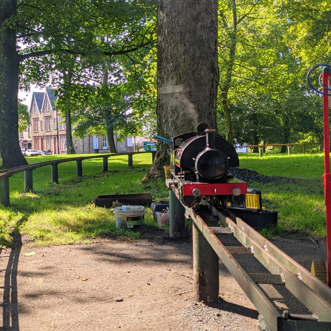Michael Cowin on Train Siding: My local engineering guild has a 5 & 3.5" railway at a local park and on Sundays give trips round the track to kids (and
big kids)....