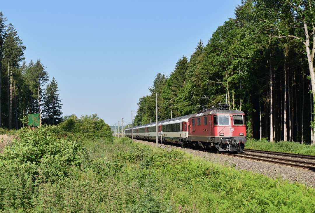 Mattias Zijlstra on Train Siding: SBB 420 299 komt met SBB EC-wagen door Gottmadingen als IC 1181 van Zürich HB naar Singen(Hohentwiel).