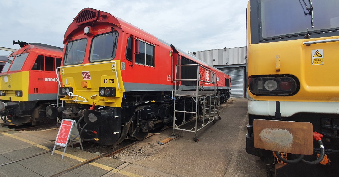 Rail Riders on Train Siding: Just arrived at #DBCargoUK Toton depot getting ready to set up the club stand and found our named loco 66175 Rail Riders Express.