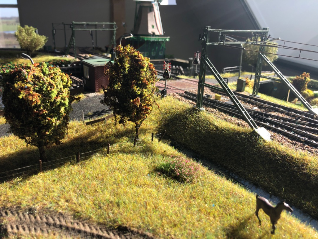 Roeland Kluit on Train Siding: The water has been poored, the overhead wires installed and most of the scenery compled. The first module is nearing completion.