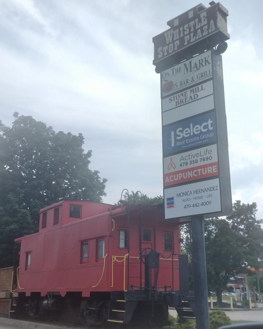 Michael H. Massey on Train Siding: Former Saint Louis and Fresco Railway/Arkansas and Missouri Railroad Caboose set up as a book store in Fayetteville Arkansas
USA