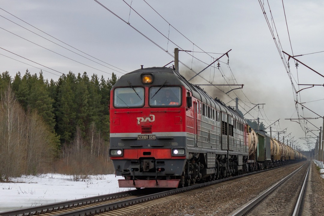 Vladislav on Train Siding: diesel locomotive 2TE116U-0318 with a freight train of increased length follows the Semrino - Vyritsa stage