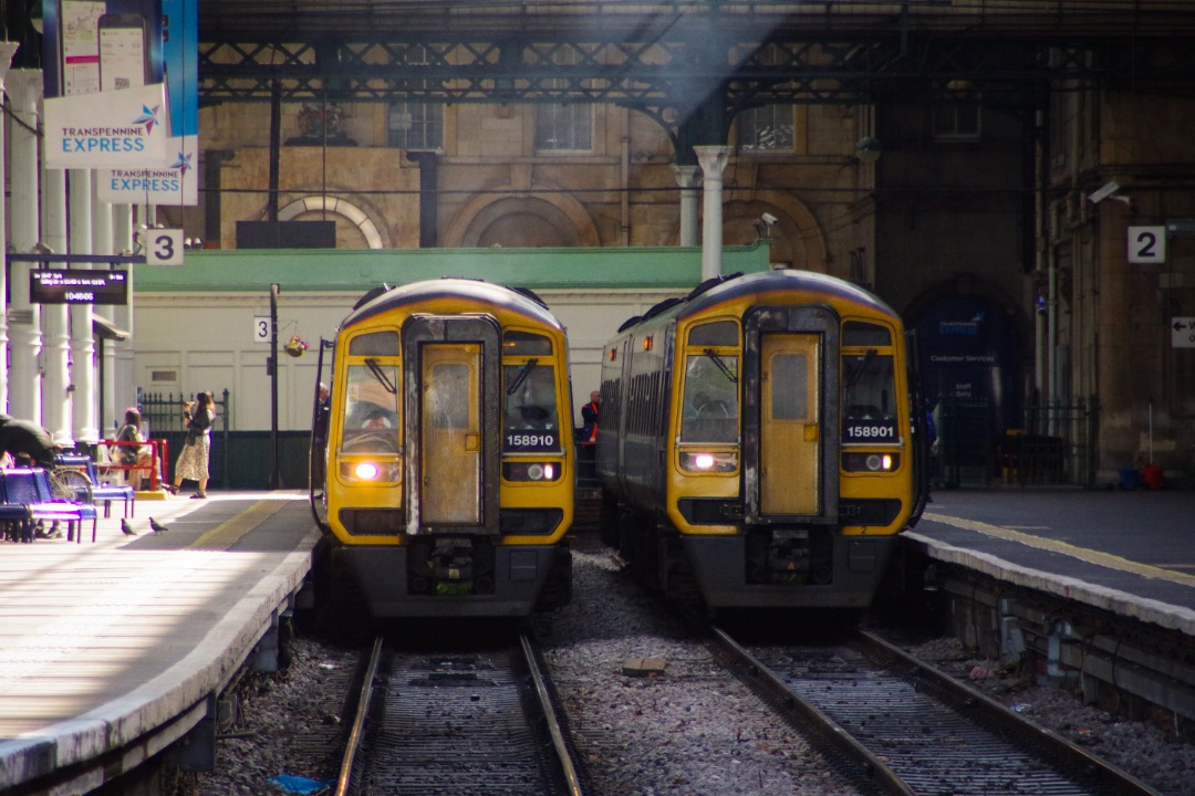 James Wells on Train Siding: Northern class 158s, 158901 and 158910, stand underneath Hull Paragon's magnificent overall roof.