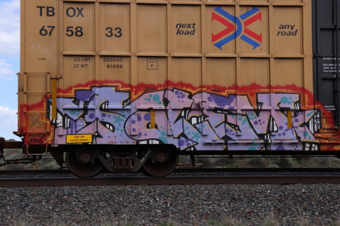 Christopher Jones on Train Siding: If y'all like modeling graffiti, here's some neat tips and I spotted on new TTX waffled high cubes. Perfect if you
got the latest...
