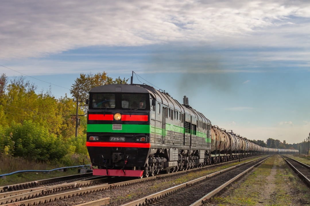 Vladislav on Train Siding: diesel locomotive 2TE116-1702 BTS (BaltTransService private carrier) with freight train at Luga-I station