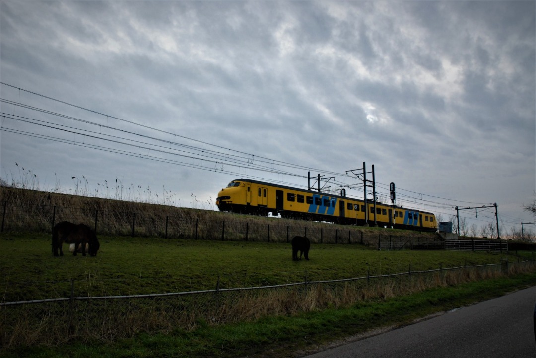Daan Willers on Train Siding: Mat'64 904 onderweg bij Schalkwijk als Railexperts trein 39384 richting Gilze-Rijen, Haarlem en Hilversum.