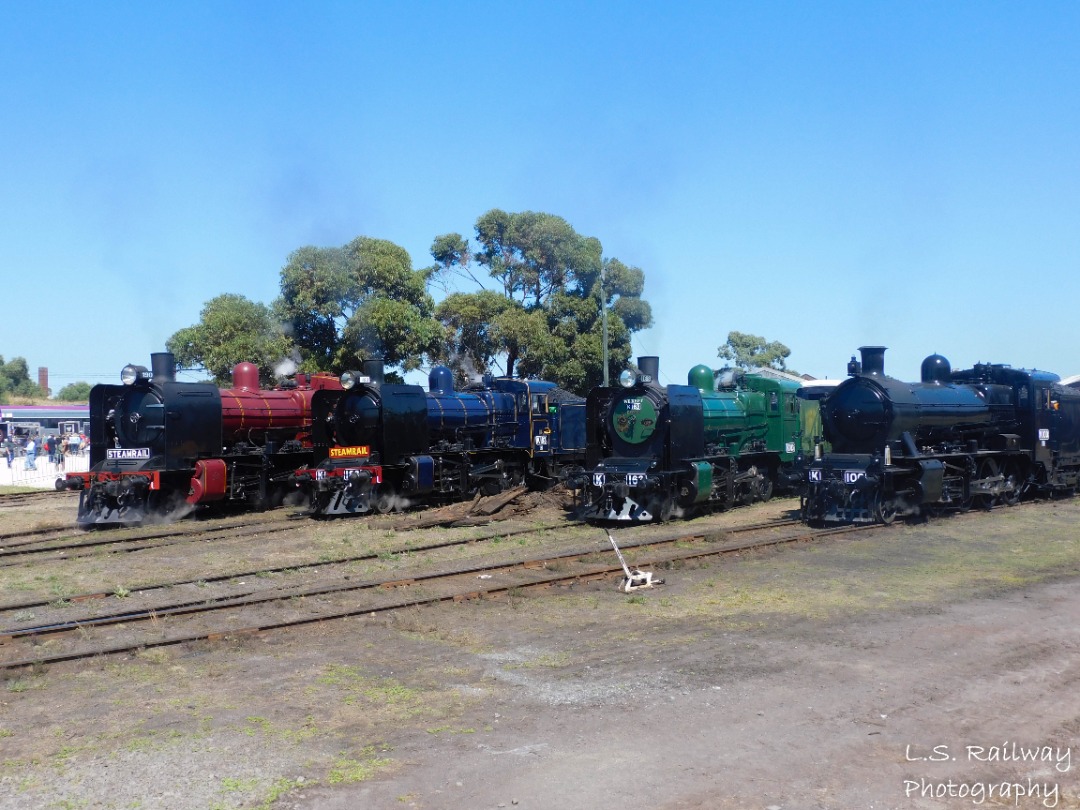 Lachlan Steininger on Train Siding: All 4 K classes left in operation in Preservation, K190, K183, K163, & K100 line up for a photoshoot to celebrate the
centenary of...