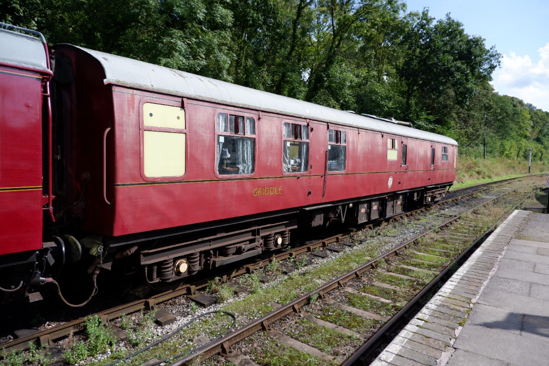 Rafael on Rails on Train Siding: British Railways 33201 & 33053 and a Mark 1 & buffet carriages at the Battlefield Line Railway.