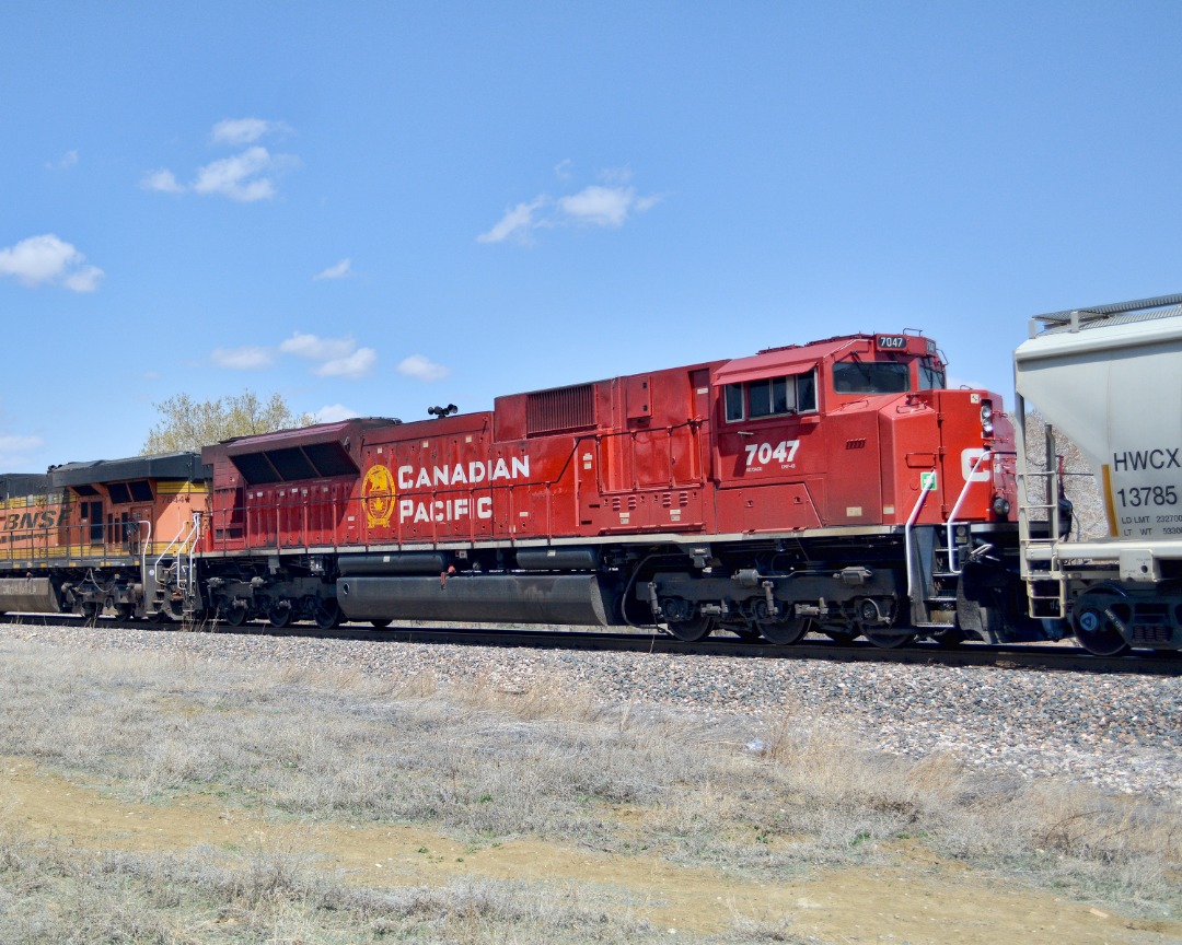 quirkphotoandmedia on Train Siding: Shots from April in Loveland, CO. We got to see a rare Canadian Pacific SD70 roll through Northern Colorado attached to a
BNSF...