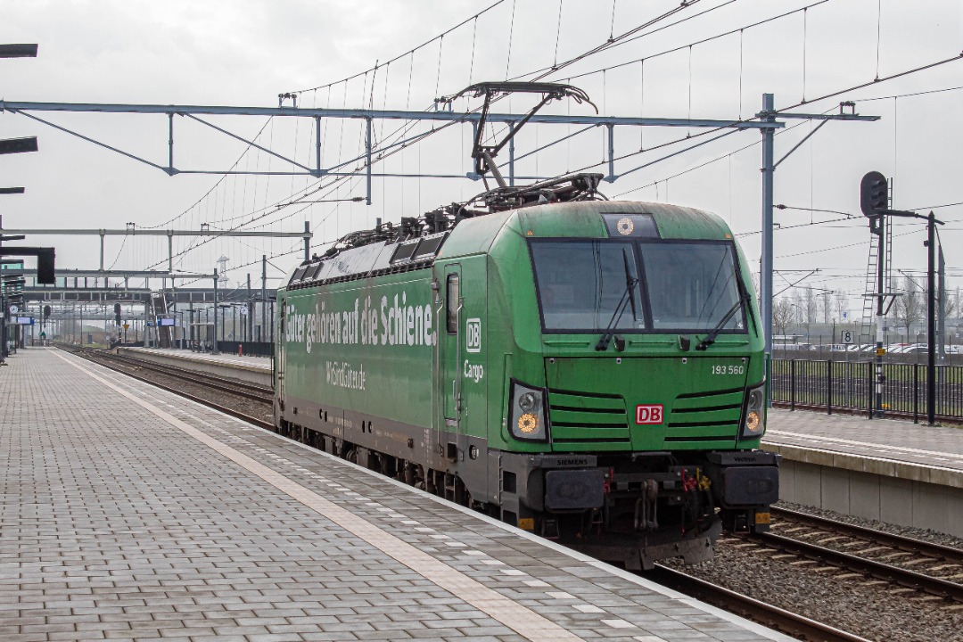 Mike on Train Siding: DB Cargo 193 560 "Güter gehören auf die schiene" as a solo engine passing Lage Zwaluwe (NL) on 23-02-2023
