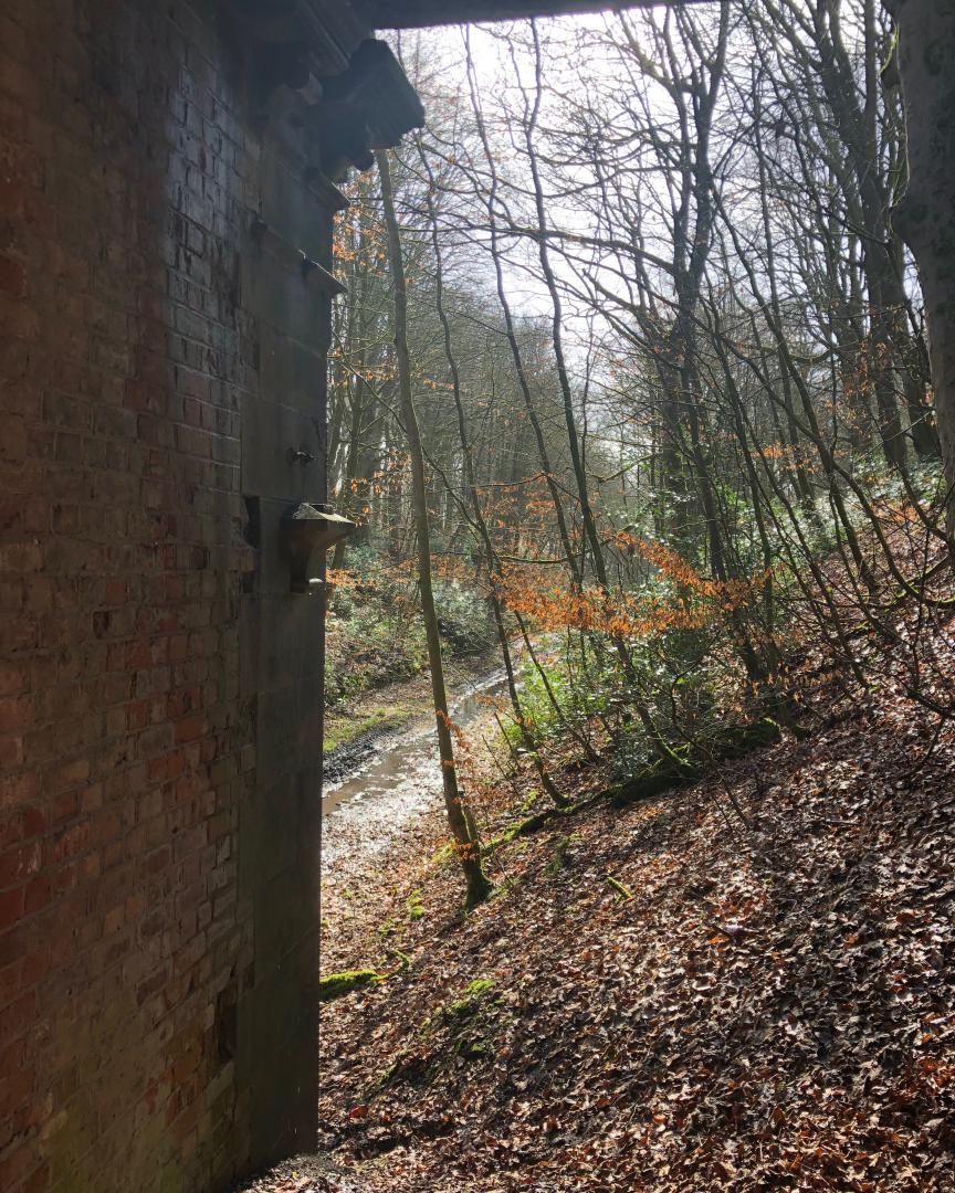k unsworth on Train Siding: More walking the Whelley Loop / Wigan avoiding line which is scheduled for reinstatement as a foot / bridle / cycle path . Nature
certainly...