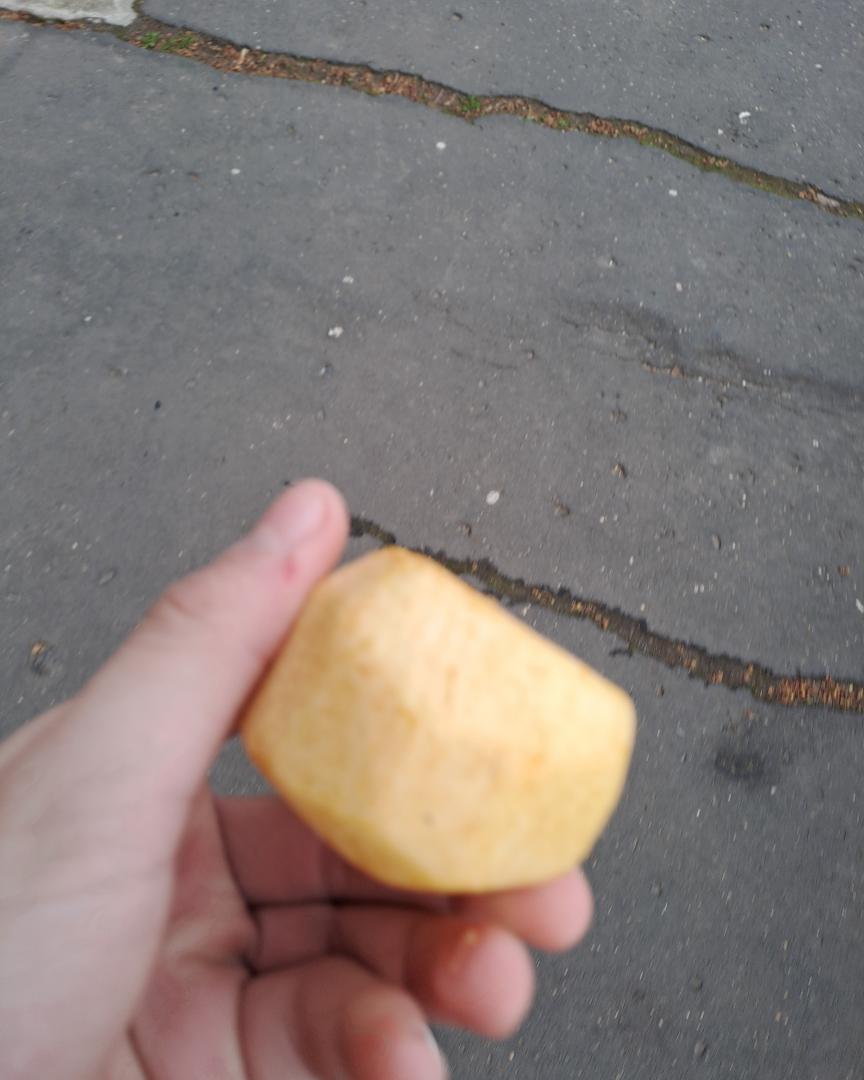 RegioJet on Train Siding: "The best apple in the year, which I found in a RegioJet
car!🤣🤣😂😅😅😂😂😅🤣😂🤣🤣😅🤣😂😂".