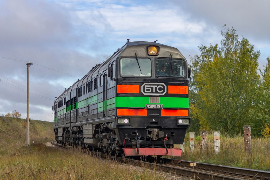 Vladislav on Train Siding: diesel locomotive 2TE116U-0187 BTS (BaltTransService private carrier) on the Luga-I - Luga-II stage