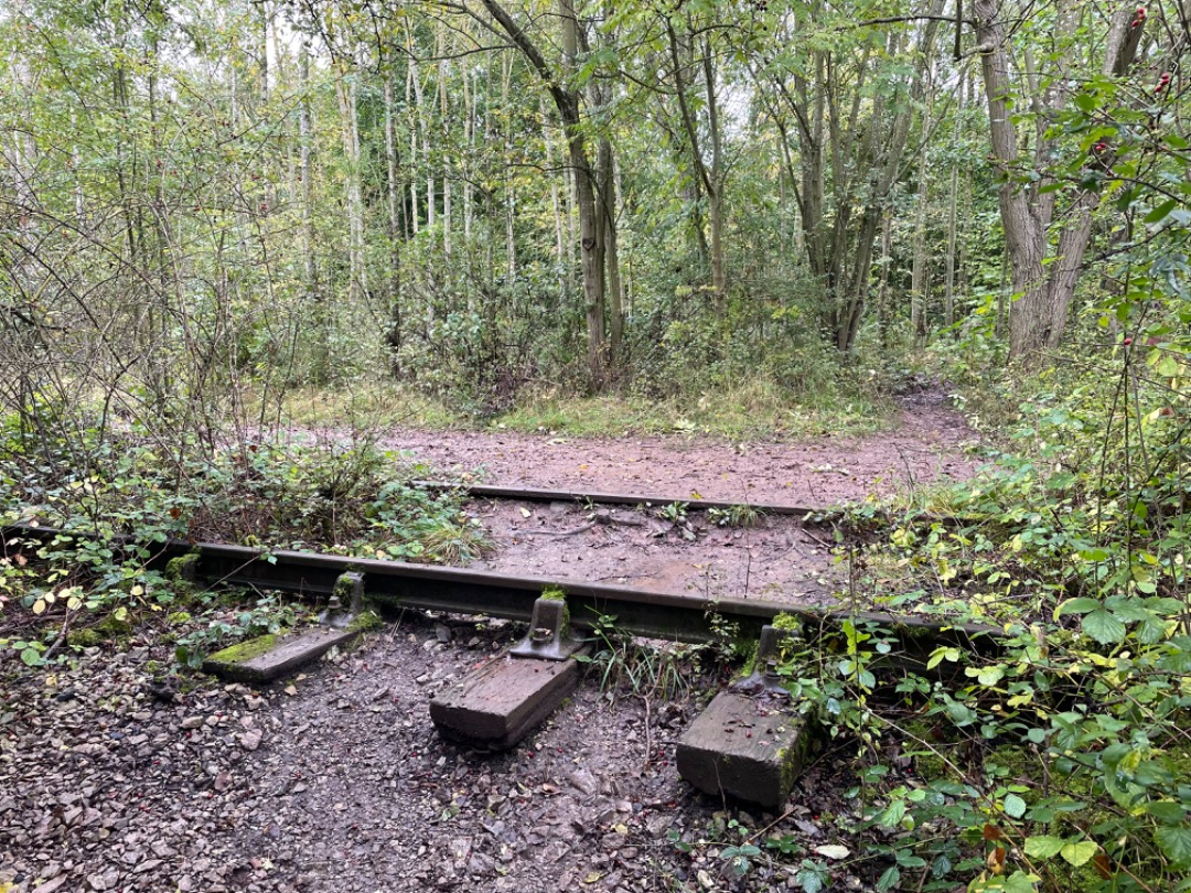 Andrea Worringer on Train Siding: Today I walked along the old railway line to Cotgrave Colliery and found some old track and relics along the way