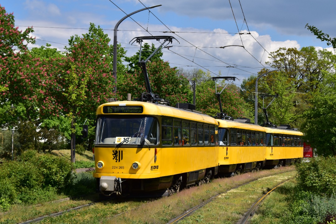Linus on Train Siding: Historic Tatra train in Dresden at Lenéplatz on its way to the tramway museum at Trachenberger Str depot.