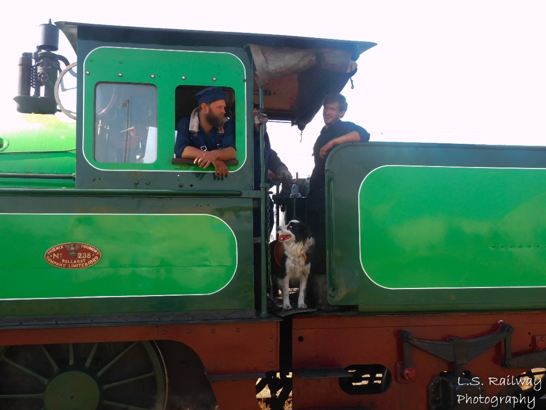 Lachlan Steininger on Train Siding: Steamrail's dog Hudson sits in the cab of R761, K100, & Y112 at the Steamrail Open Days.