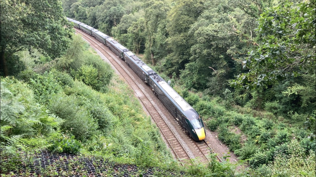 Martin Lewis on Train Siding: A few snaps taken from Bodmin Parkway, Respryn and Brown Queen Tunnel, all locations are accessible on foot from one another.