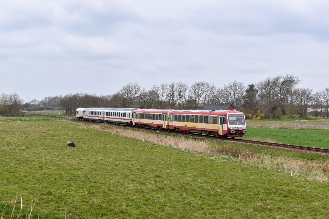 NL Rail on Train Siding: neg 628 505 komt met IC rijtuigen van DB langs de Kronkoogsdeich in Deezbüll als RB 65 naar Dagebüll Mole.