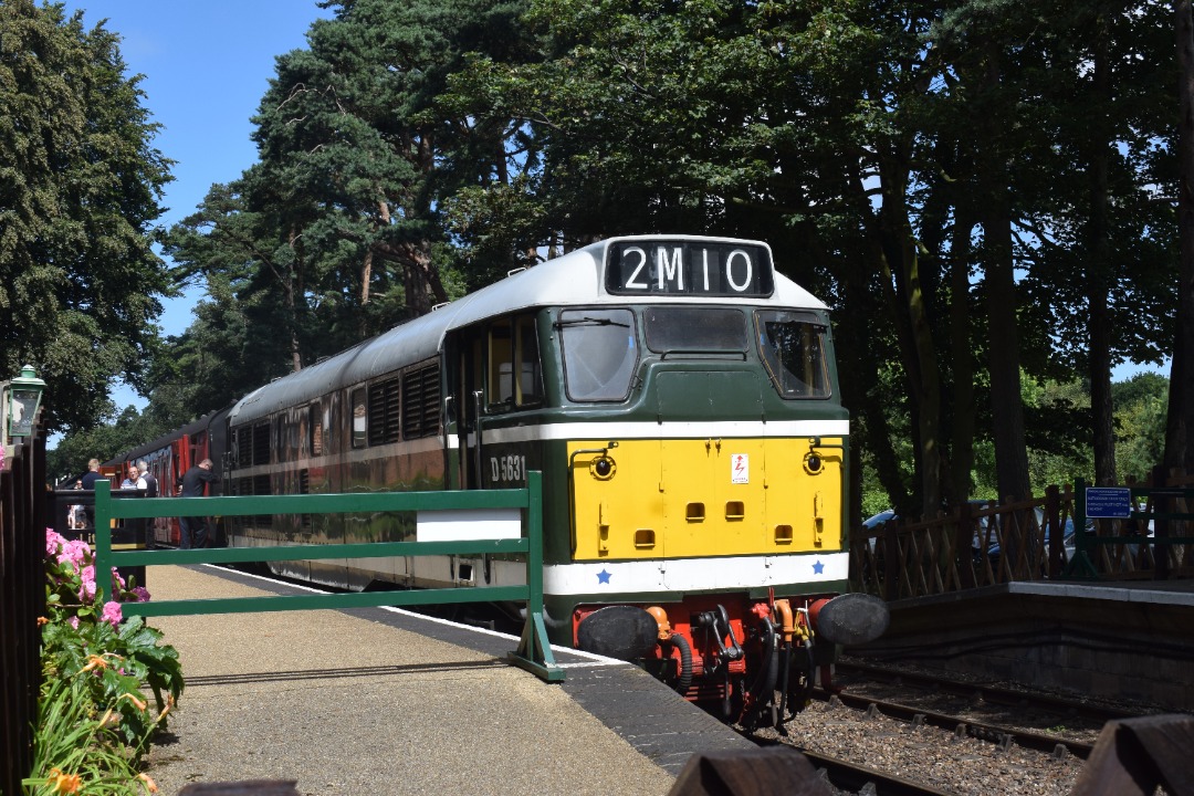 Hardley Distant on Train Siding: HERITAGE: On Friday 4th August 2023 I paid a visit to the North Norfolk Railway starting my journey at Sheringham Station
before...