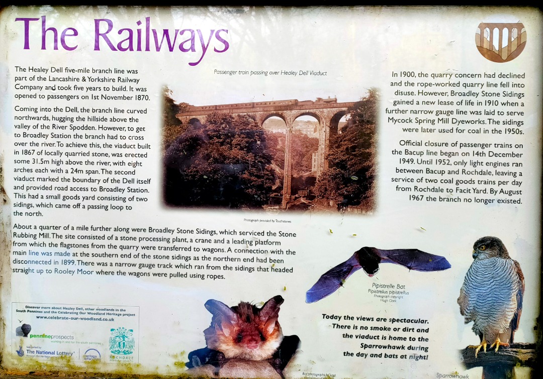 Brian Johnson on Train Siding: Information about the railway through Healey Dell. Top photo shows the viaduct built across the Dell and now part of the...