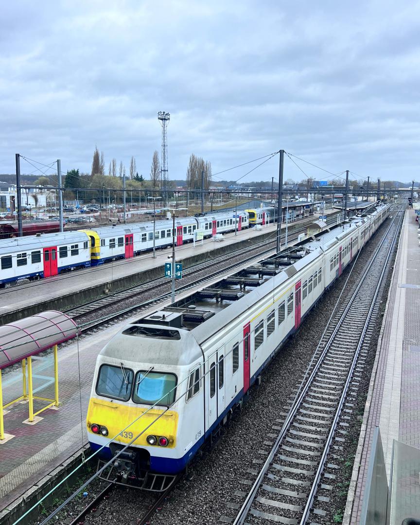 Koen G on Train Siding: "The MS80 and its follow-up series, MS82 and MS83, also known as Break, are electric multiple units operated by the Belgian railway
company NMBS."