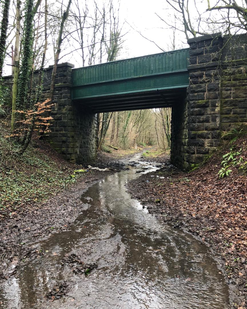k unsworth on Train Siding: Walked the former Whelley Loop/ Wigan Avoiding Line today which is currently being surveyed for re-opening 50 years after track
lifting...