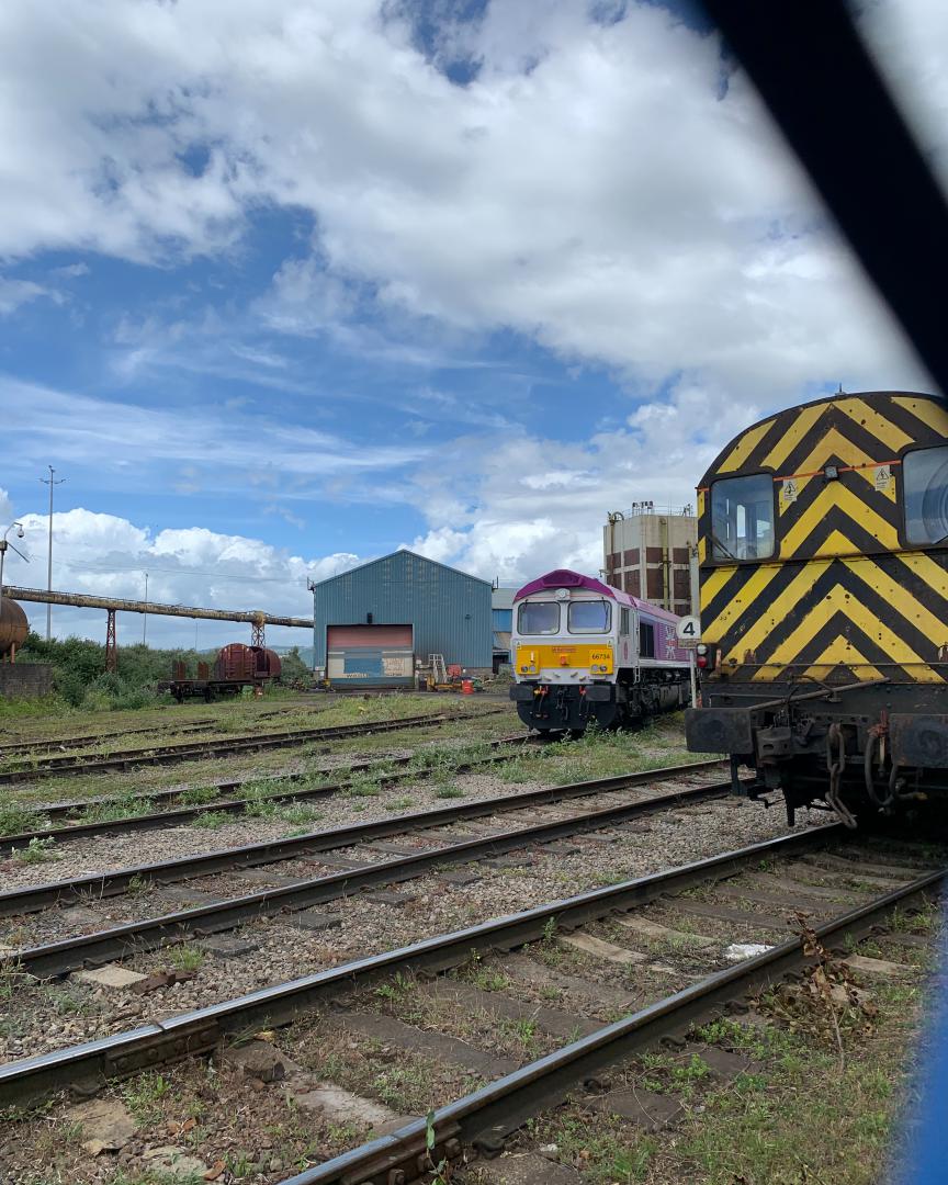 train_collecter on Train Siding: Just saw 3 08 shunters and 2 class 66 locos in a yard leaving cardiff, one of them being the queens jubilee 66