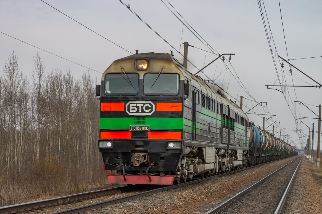 Vladislav on Train Siding: diesel locomotive 2TE116U-0193 BaltTransService (private career) with a freight train follows the Verevo - Gatchina-Varshavskaya
stage. 2023