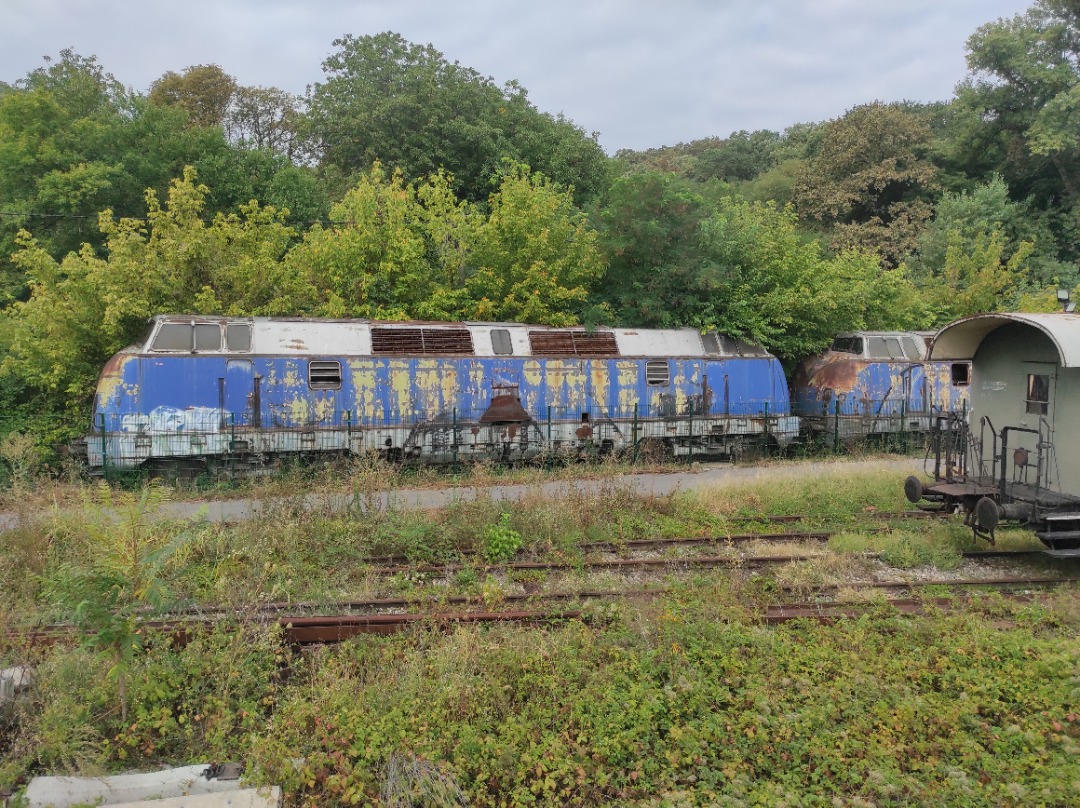 Fabian Vendrig on Train Siding: Locomotive from the #BlueTrain, which was Tito's ( the president of Yugoslavia back then) personal train (More info:...