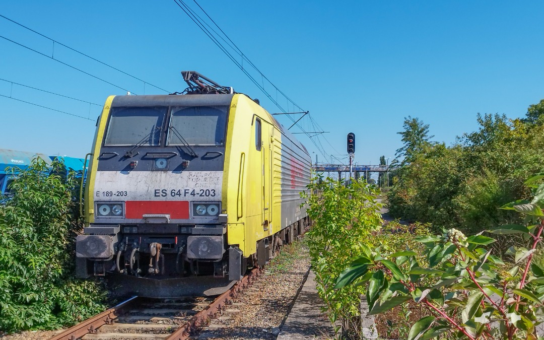 Adam L. on Train Siding: A Yellow-Silver MRCE Dispolok Siemens Eurosprinter, on lease to Ost-West Logistic Poland Inc, sits offline nearby one of the Kielce...