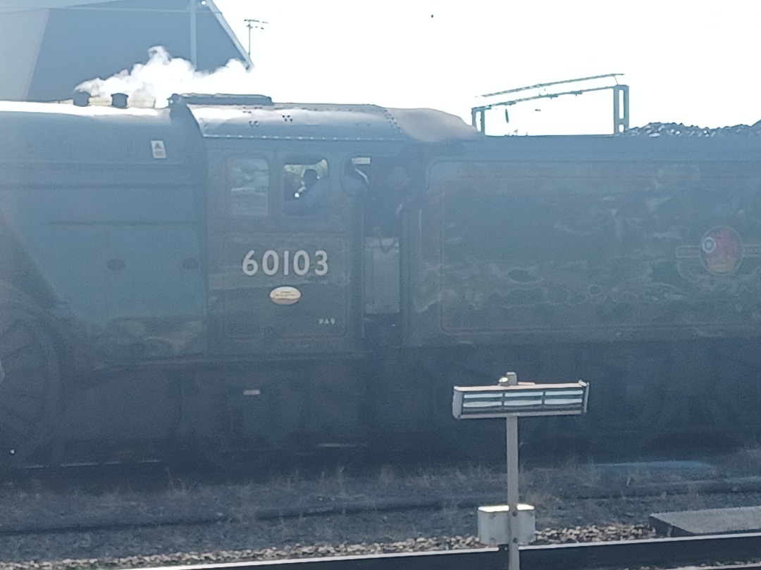 Trainnut on Train Siding: #photo #train #steam #station #60103 #flying scotsman #diesel DRS 66 in the baking sun too. Flying Scotsman from Carnforth to Southall
today