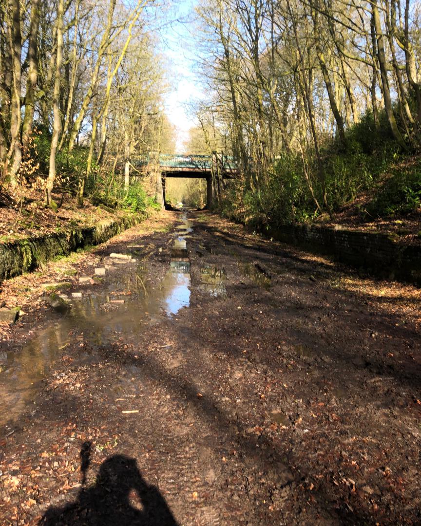 k unsworth on Train Siding: More walking the Whelley Loop / Wigan avoiding line which is scheduled for reinstatement as a foot / bridle / cycle path . Nature
certainly...