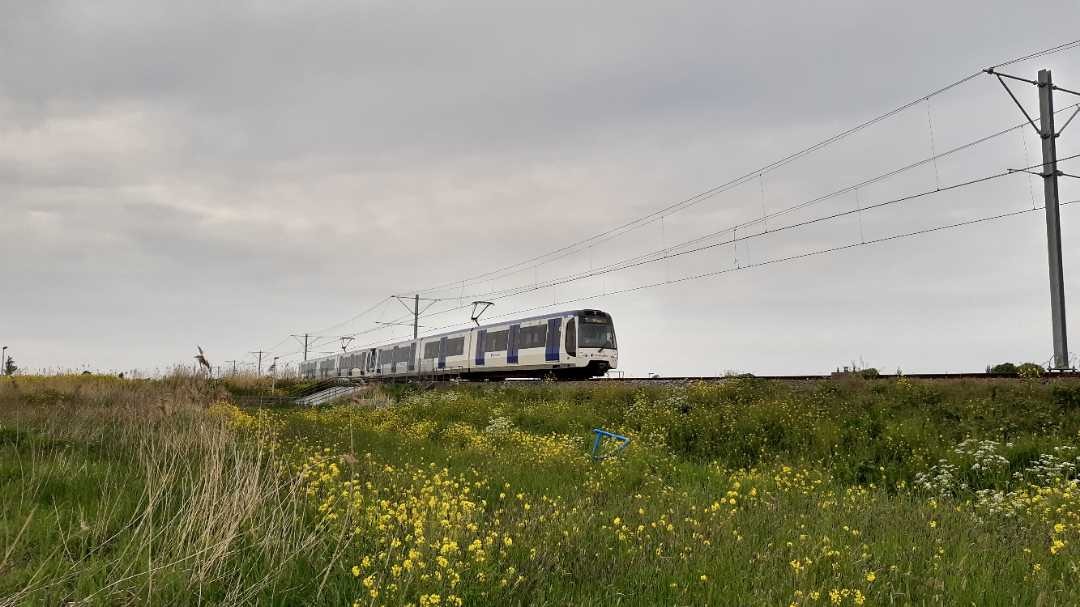 Arthur de Vries on Train Siding: Trains of the Rotterdam Metro between Nootdorp and Pijnacker (The Netherlands) riding past the green and yellow fields.
#trainspotting...