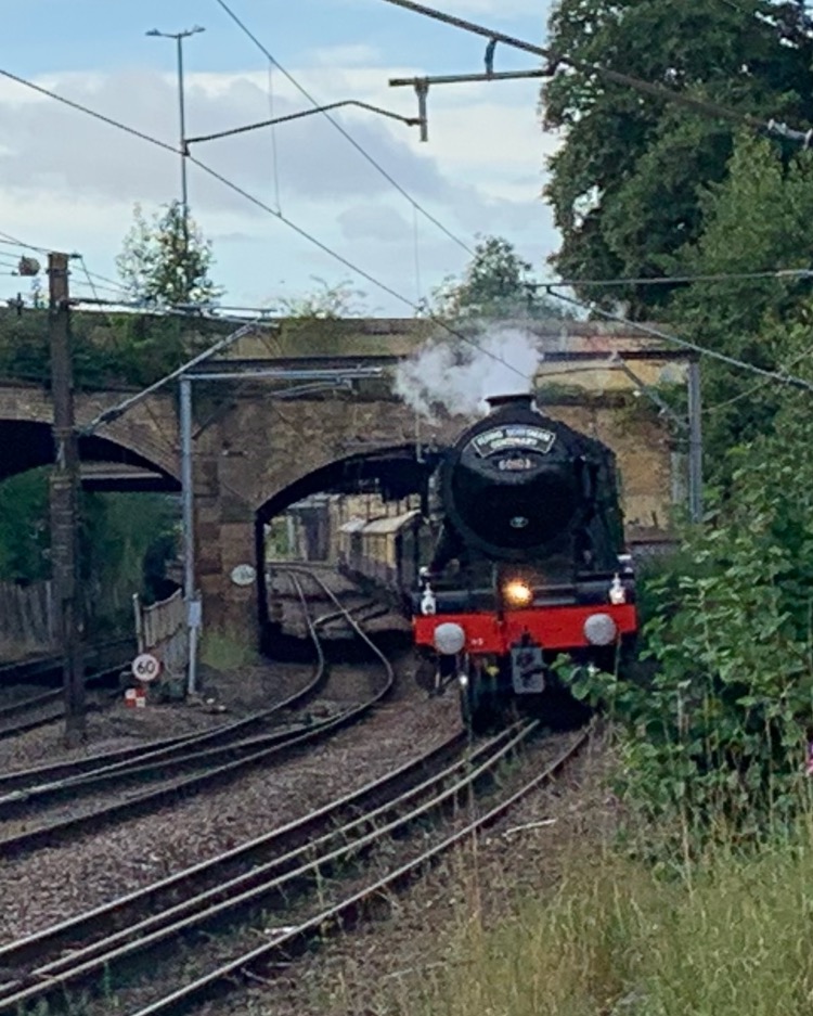 All around newcastle on Train Siding: The Flying Scotsman minutes away from arriving at Newcastle Central Station (and no I'm NOT trespassing on the
railway, just...