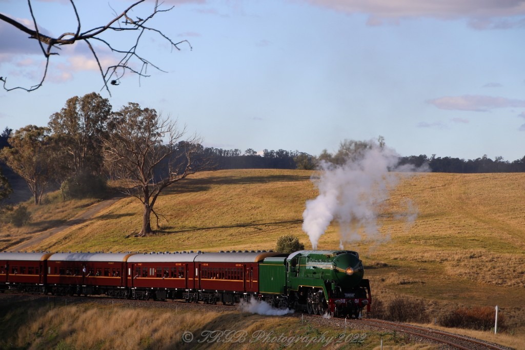 Thomas Robert Gordon Barnes on Train Siding: One of Australia's iconic trains, NSWGR C38 Class No. 3801 makes it way up Thirlmere Bank during 2022
Thirlmere Festival...