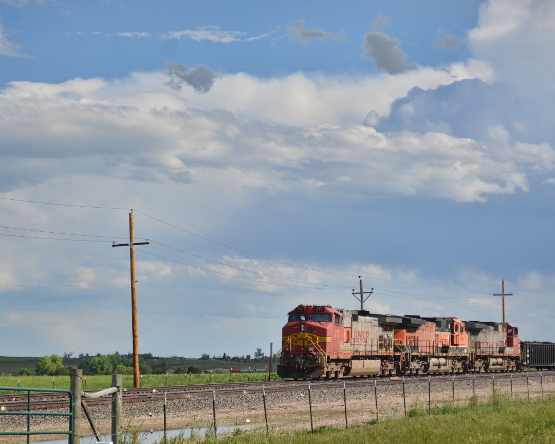 quirkphotoandmedia on Train Siding: End of May freight. First 2 photos are both taken south of Berthoud, CO on the BNSF main line. South bound freight rolled
passed a...