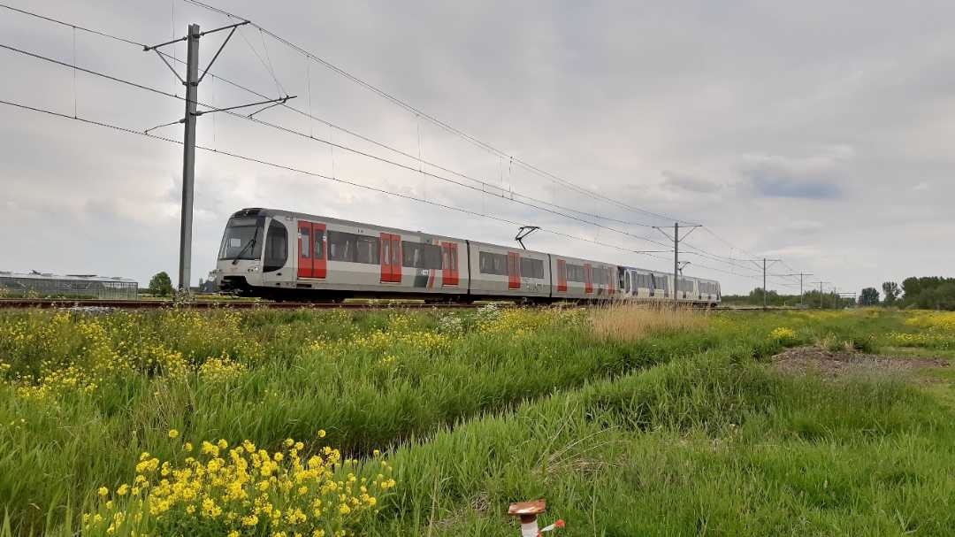 Arthur de Vries on Train Siding: Trains of the Rotterdam Metro between Nootdorp and Pijnacker (The Netherlands) riding past the green and yellow fields.
#trainspotting...
