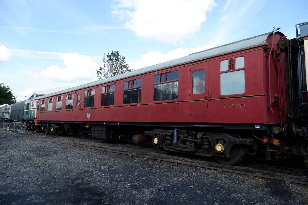 Rafael on Rails on Train Siding: British Railways 33201 & 33053 and a Mark 1 & buffet carriages at the Battlefield Line Railway.