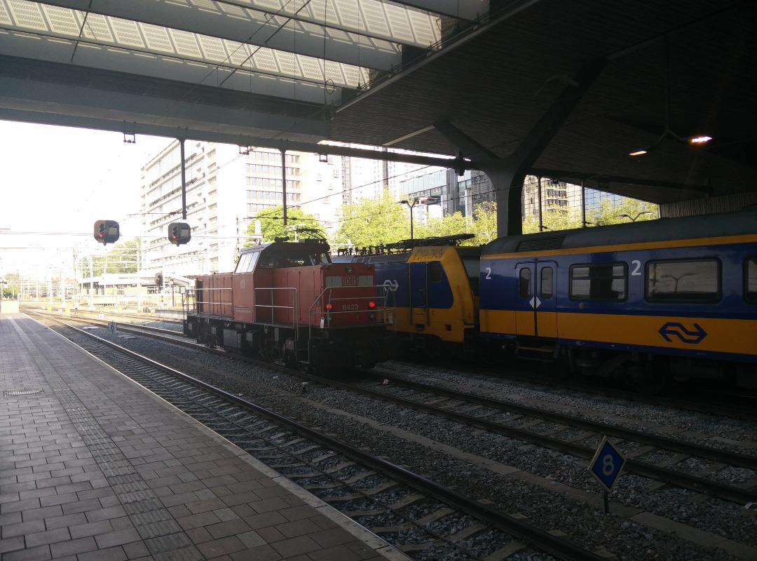 Niels on Train Siding: A wild cargo locomotive / shunting engine from Deutsche Bahn passes by at Rotterdam Central station.