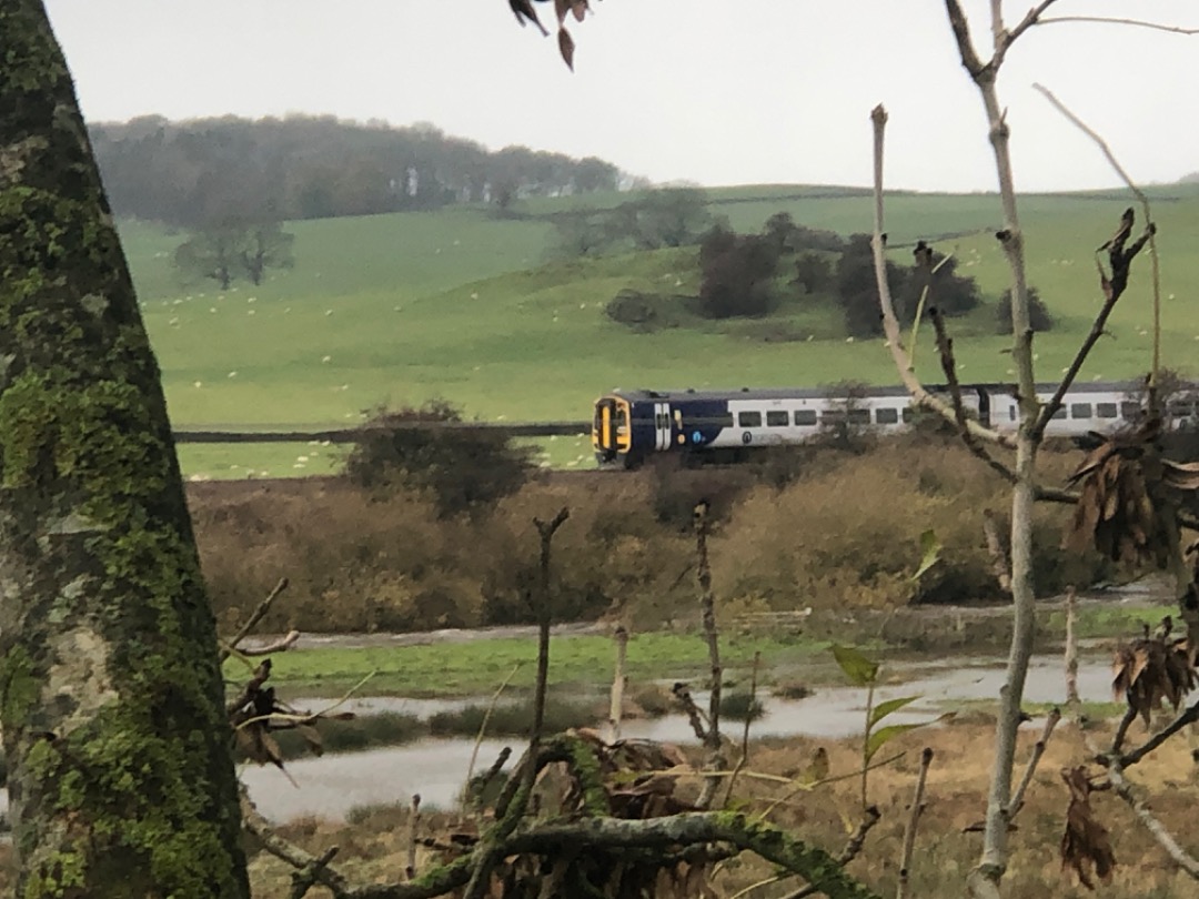 k unsworth on Train Siding: Glimpsed through the trees ,an unidentified DMU passes through waterlogged countryside west of Skipton this morning..