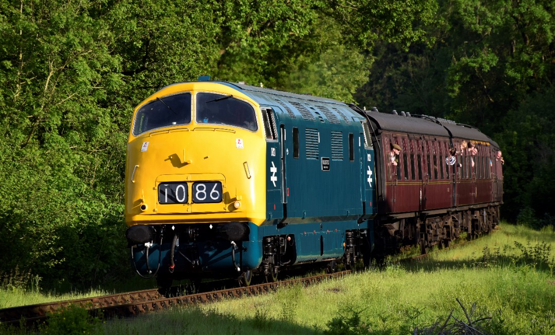 Martin Perry on Train Siding: Warship class, D821 'Greyhound', approaching Highley in the evening sun at the SVR Diesel Gala on the 20th May 2023.
