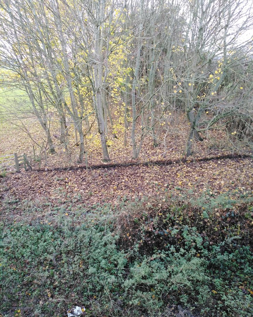 Chris Pindar on Train Siding: Sad I know, but this is what remains of the Stafford - Uttoxeter line at Stowe-by-Chartley from the road bridge. Their used to be
a...