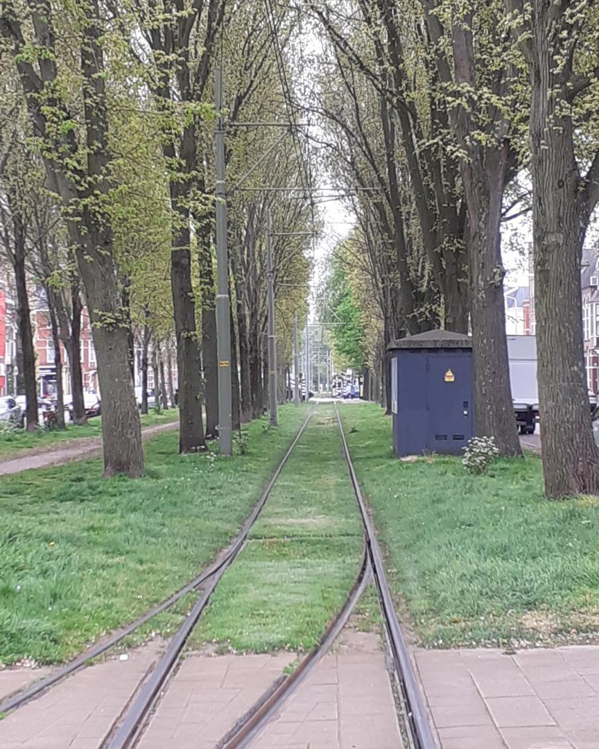 g.vandijk on Train Siding: Trams of the Hague: the single track turningloop of line 16. And the Siemens Avenio on line 11.