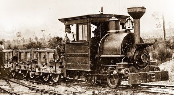 David Kamensky on Train Siding: Any info on this locomotive. All I know is that it was in South Carolina, and is on a 36" gauge track.