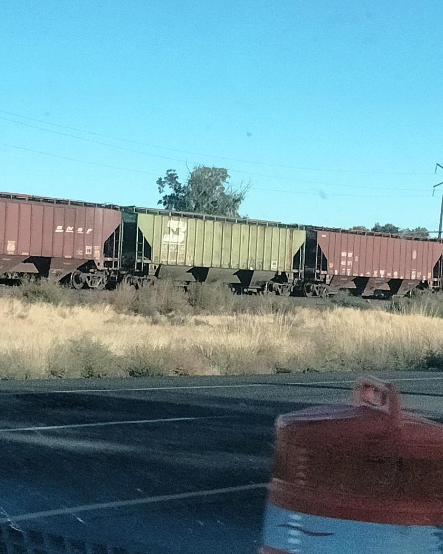 Pittsburgh amateur rail and history on Train Siding: Several ex Burlington Northern coverd hoppers left on a siding in Wapato Washington