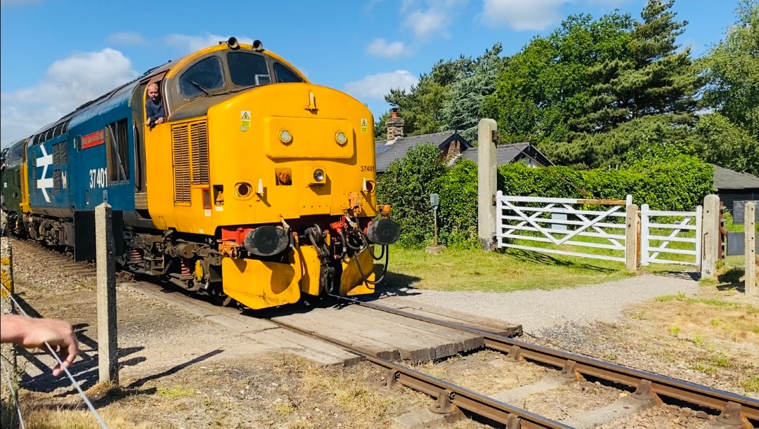George on Train Siding: Class 37401 "Mary Queen of Scots" taking part in the North Norfolk Railway's Mixed Traction Gala 2022. Visiting on behalf
of Direct Rail Services!