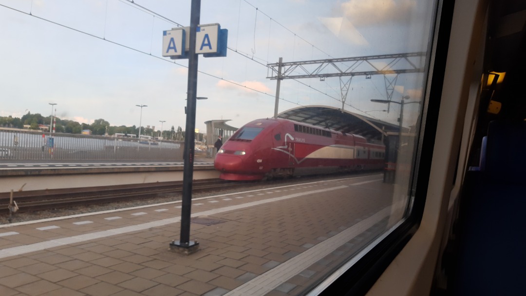 Arthur de Vries on Train Siding: This Thalys from Amsterdam to Paris was just coming into the station as my train was leaving.